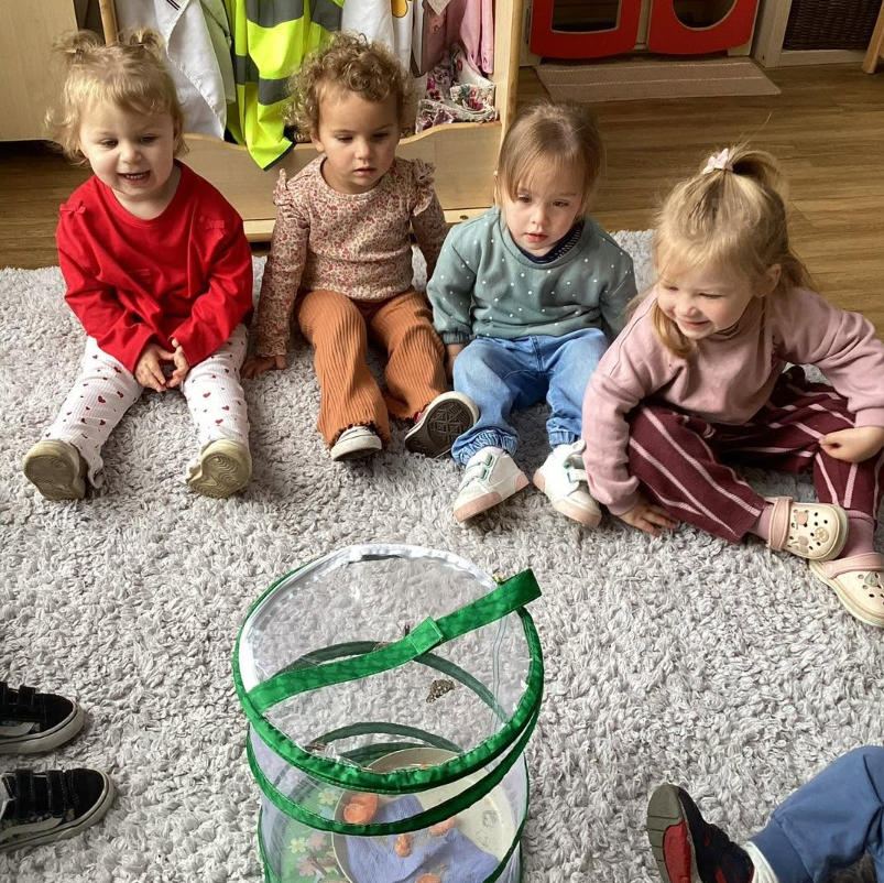 A Butterfly Journey with Our Mini Moons